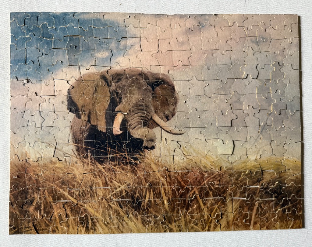 An African elephant stands in golden tall grass against a soft, hazy sunset sky.