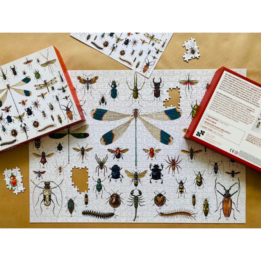 A collection of various detailed insect illustrations arranged in a grid-like pattern on a plain background.