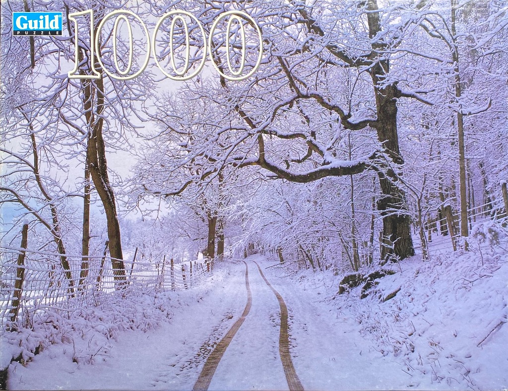 Snow-covered country lane lined with trees in winter