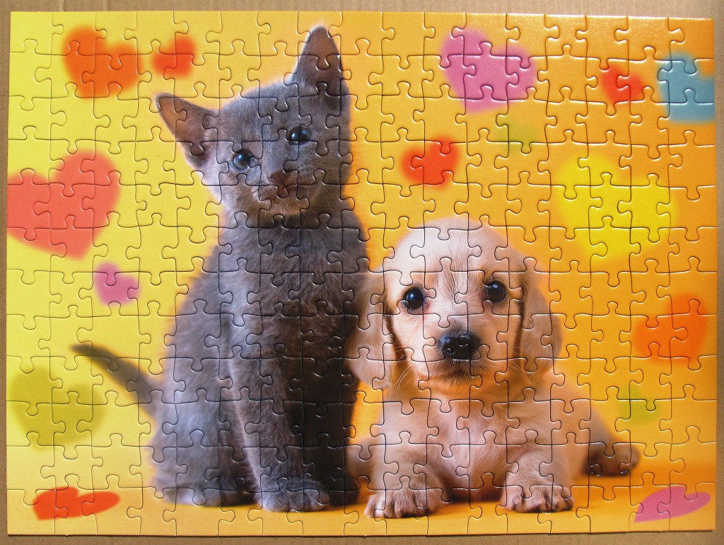 A grey kitten sitting beside a light-coloured puppy against a bright yellow background with hearts.