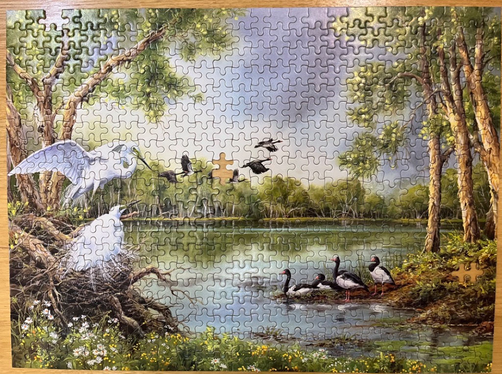 A peaceful wetlands scene featuring white egrets in a nest and black-and-white waterbirds on a riverbank.