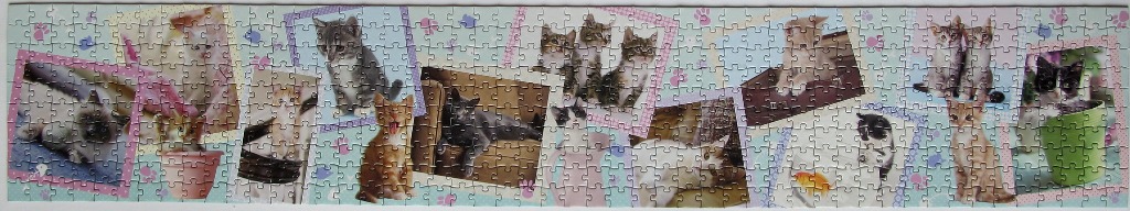 A panoramic collage of various kittens in picture frames against a patterned blue background.