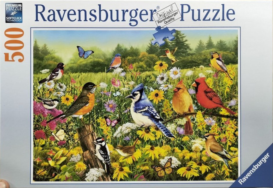 A collection of colorful North American birds and butterflies in a vibrant spring meadow.