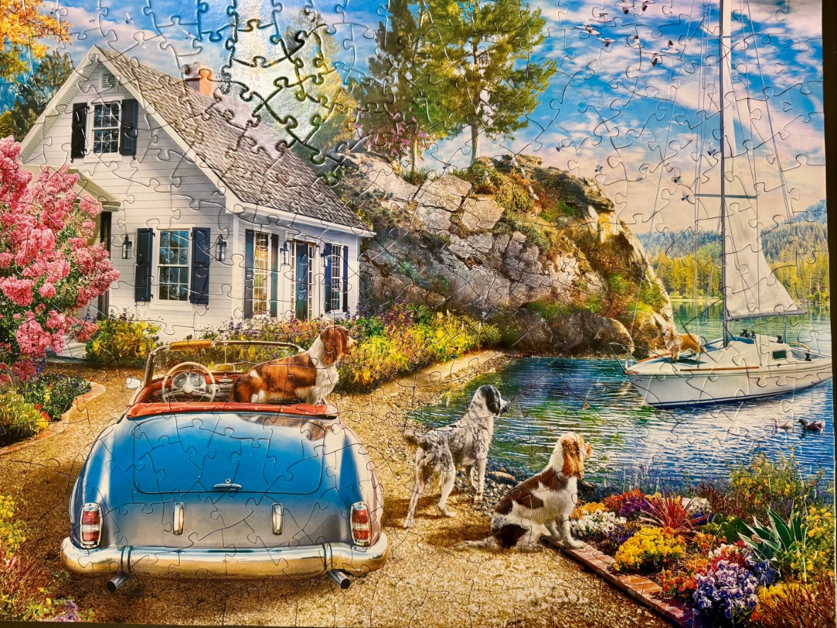 A coastal scene with a white house, a blue vintage car, a sailboat, and several dogs.