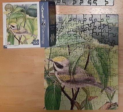Illustration of a Golden-winged Warbler perched among green leaves.