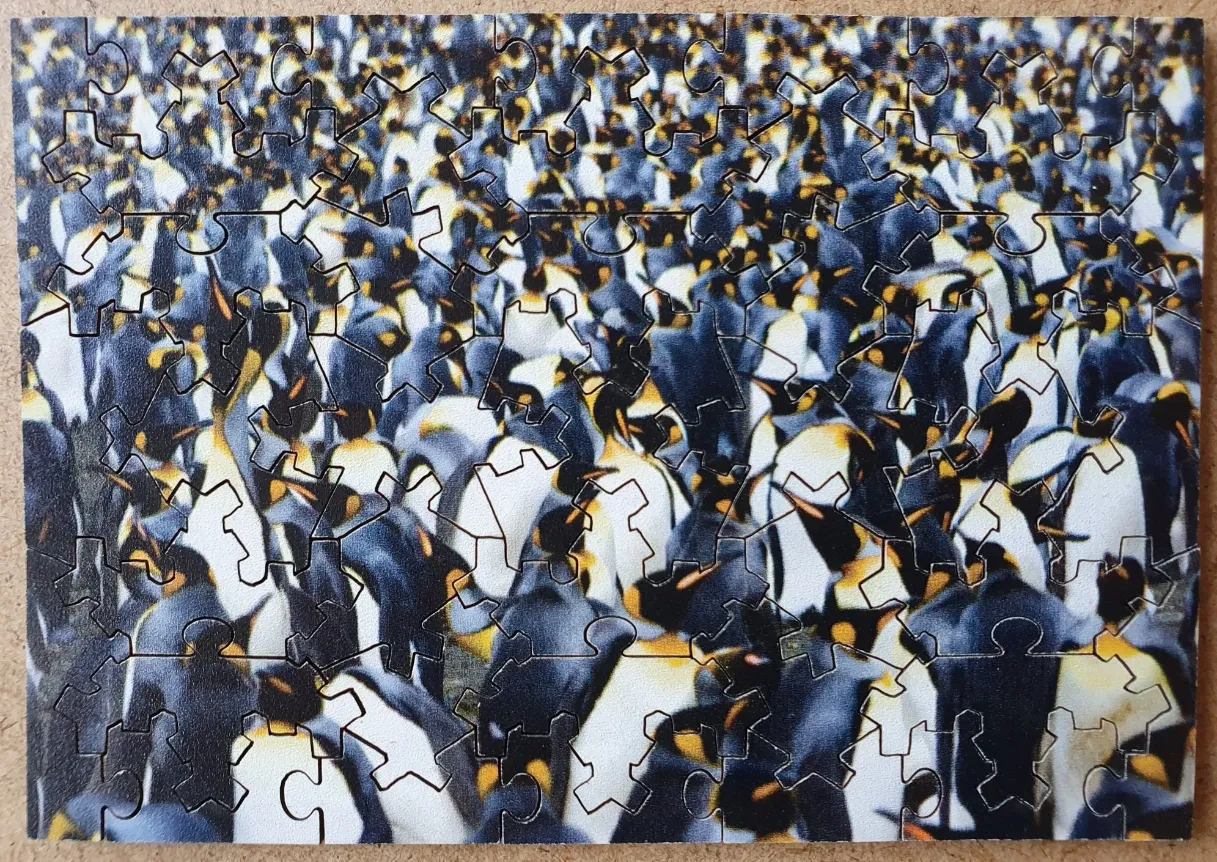 A dense, high-angle view of a large colony of penguins huddled closely together.