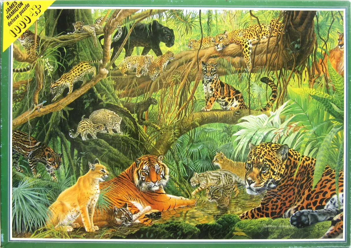 An illustration of diverse wild cats, including a tiger, jaguars, and leopard cubs, in a dense, lush green jungle.