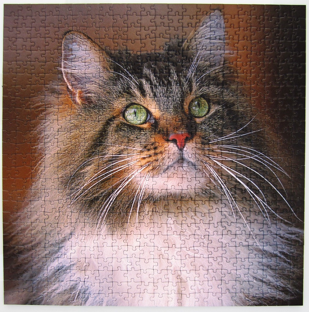 Close-up portrait of a fluffy tabby cat with striking green eyes against a brown background.