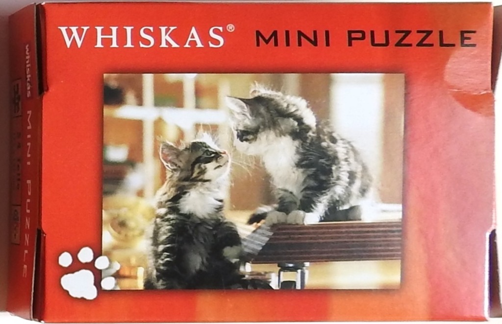 Two fluffy tabby and white kittens interacting indoors.