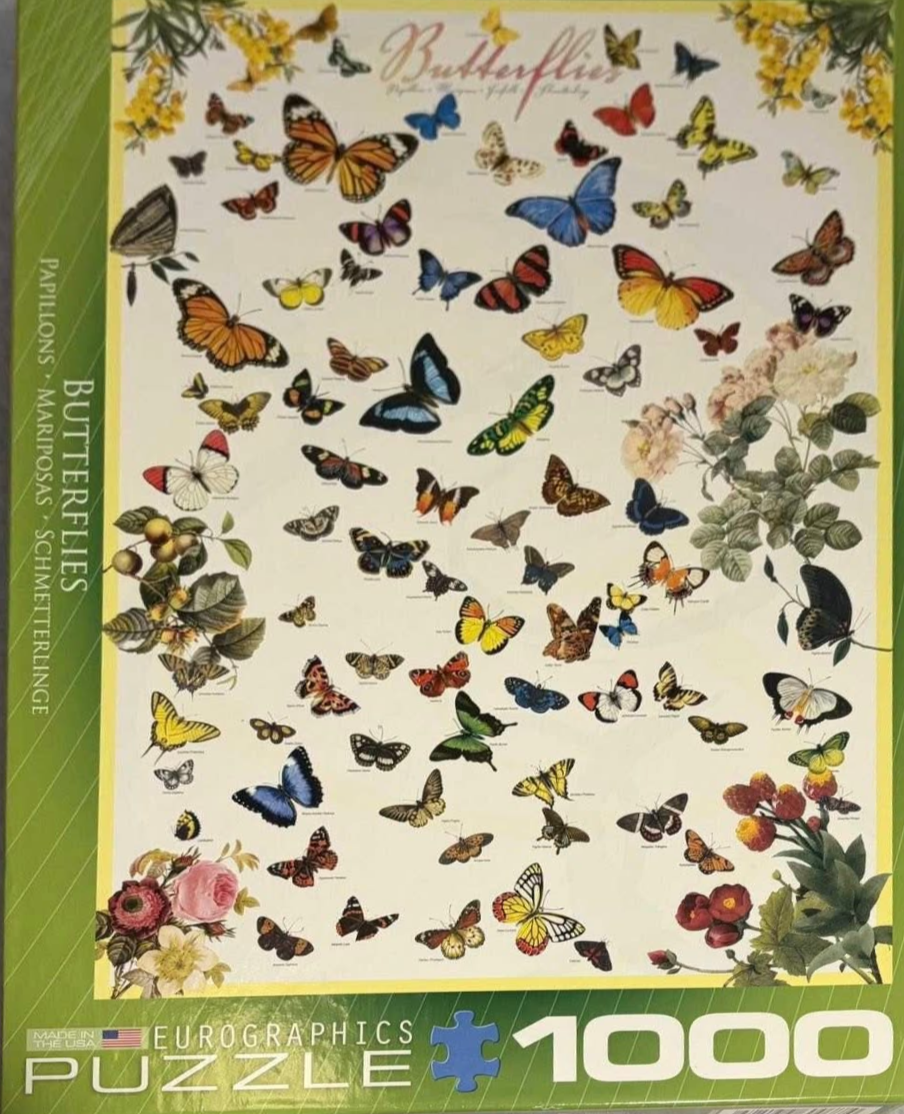A collection of various colorful butterfly species illustrated against a cream-colored background.