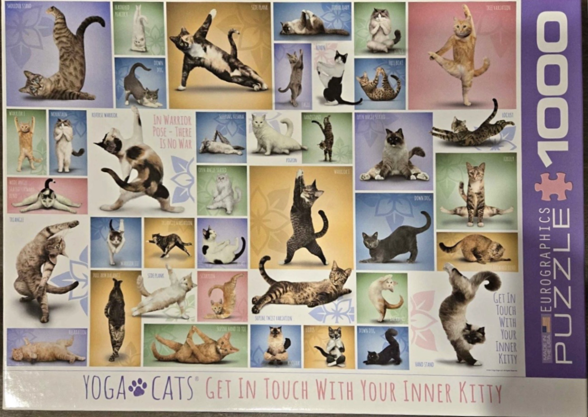 A collage of cats performing various yoga poses on a rectangular backdrop.