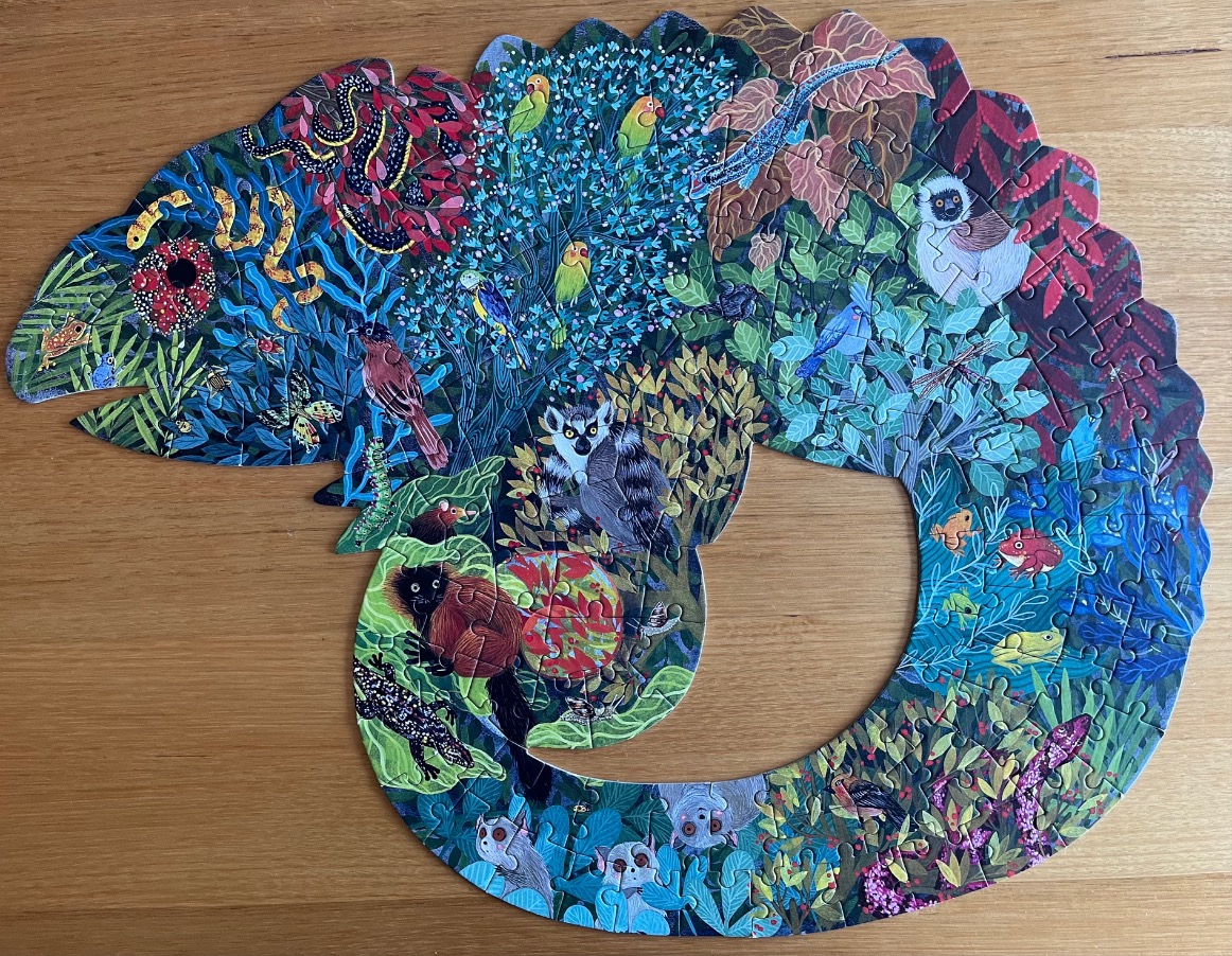 A whimsical illustration of a chameleon-shaped collage filled with tropical plants and animals in vibrant blues and greens.