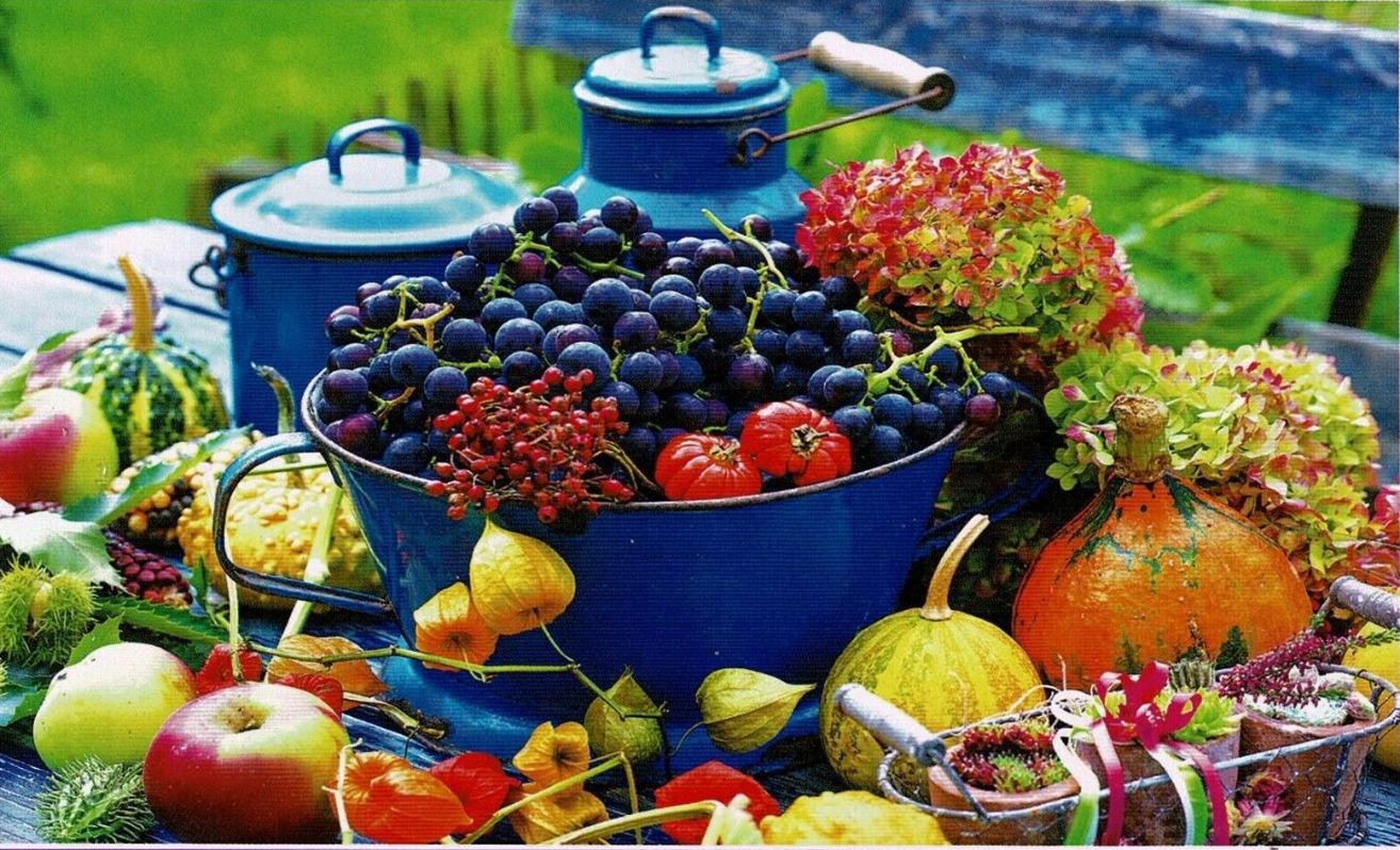A still life featuring a blue enamel bowl overflowing with dark grapes, surrounded by autumn produce and flowers.