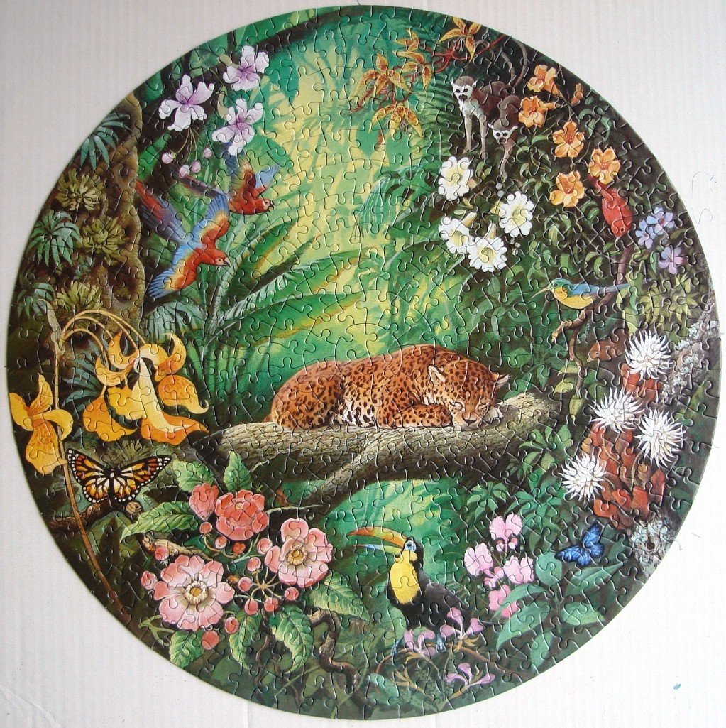 A round illustration of a sleeping jaguar in a lush tropical rainforest filled with birds and flowers.