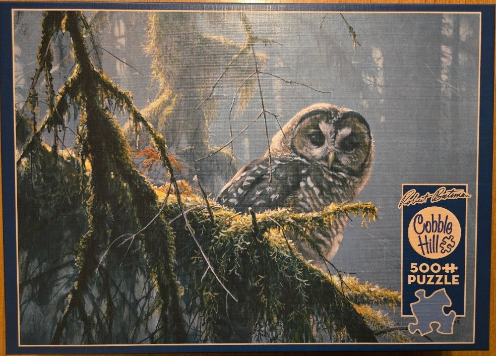 A detailed painting of an owl perched on a mossy, lichen-covered tree branch in a misty forest.