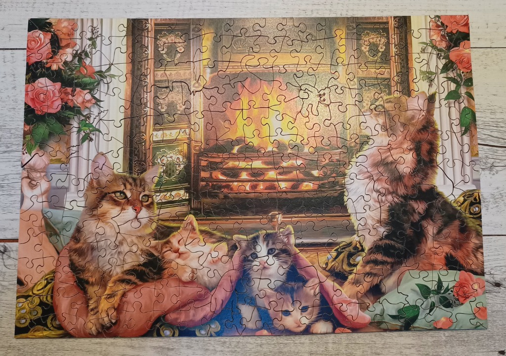A group of four cats resting in front of a cozy fireplace with pink rose bouquets.
