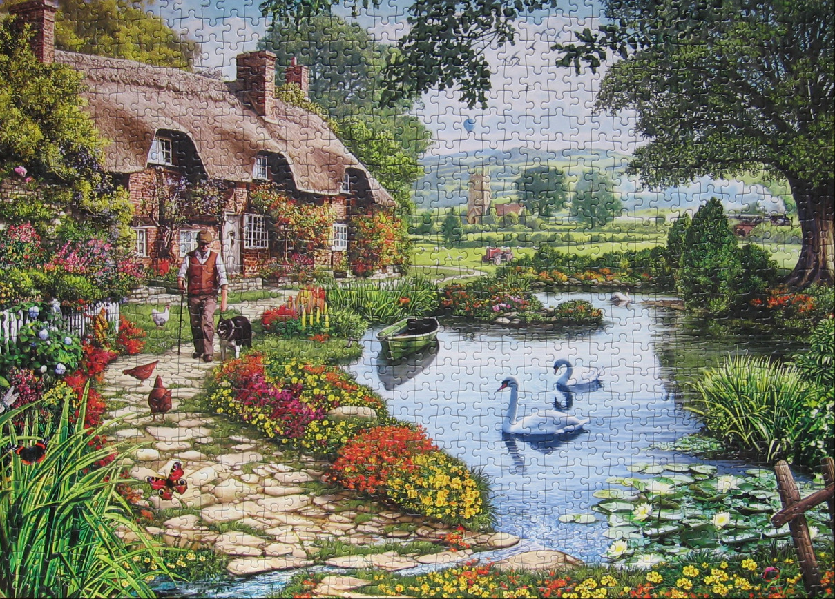 A peaceful English cottage scene with a man walking his dog by a pond with swans.