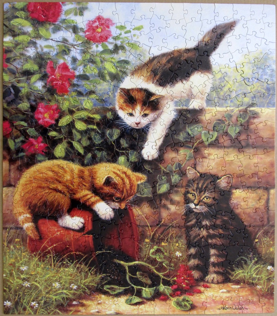 Three kittens playing in a garden with red flowers