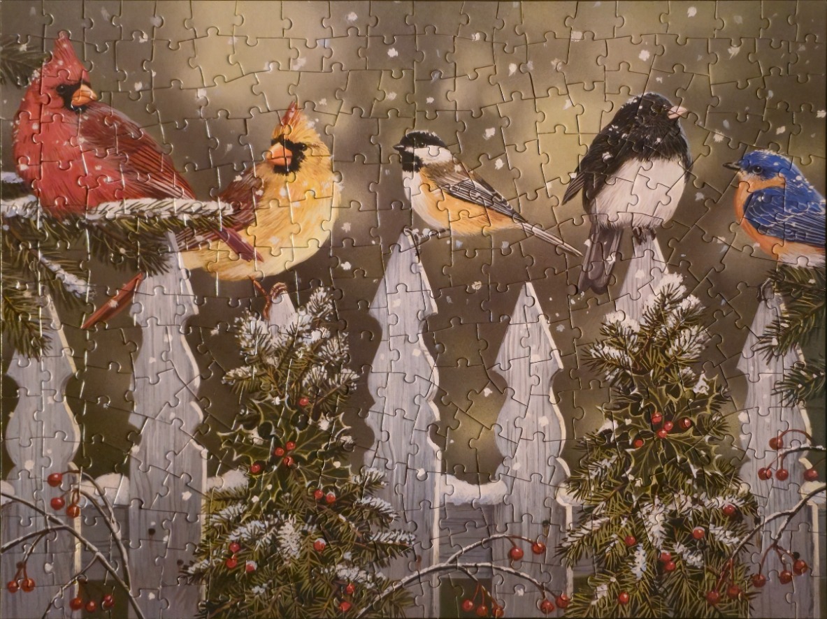 Five colorful birds perched on a snowy white picket fence with holly bushes and soft falling snow.