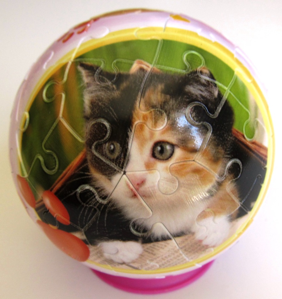 Spherical display featuring a calico kitten portrait