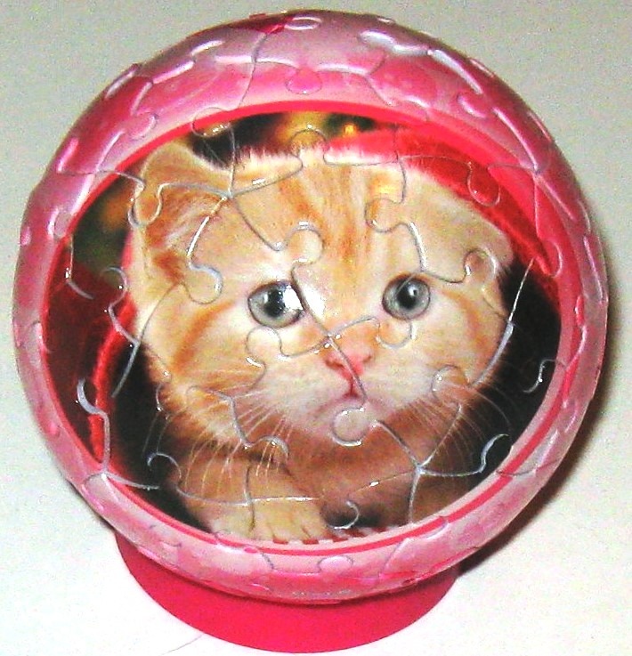 A spherical object featuring an orange kitten face framed by a bright pink border.