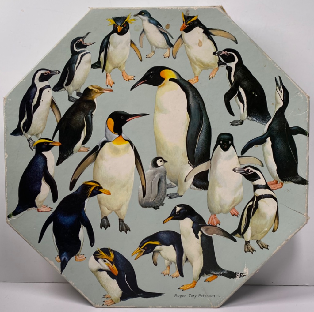An illustration of various penguin species gathered on a pale blue background.