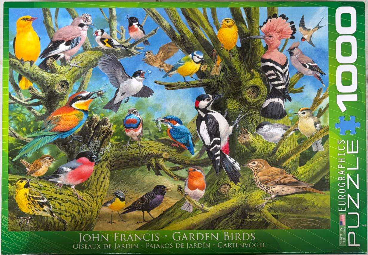A detailed illustration of many different garden birds perched on and flying around a large, mossy tree.