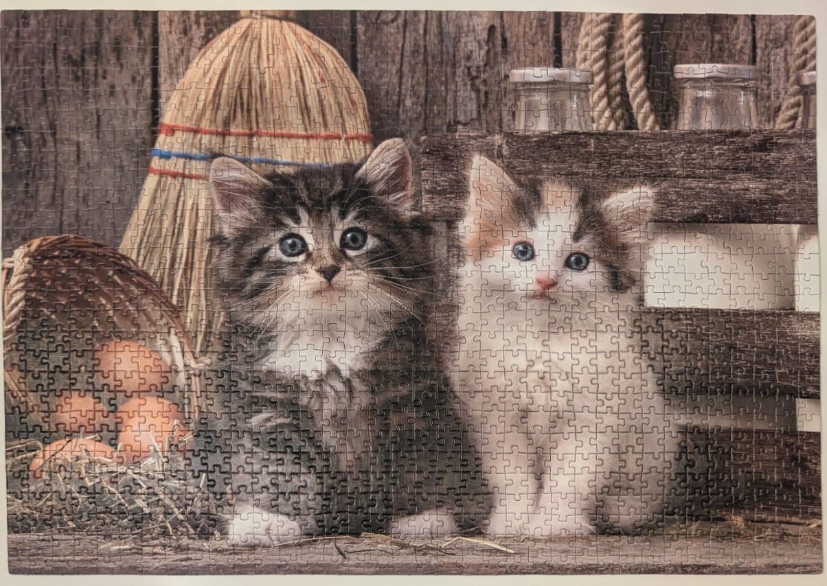Two fluffy kittens, one grey tabby and one calico, sitting in a rustic farm setting with a broom and eggs.