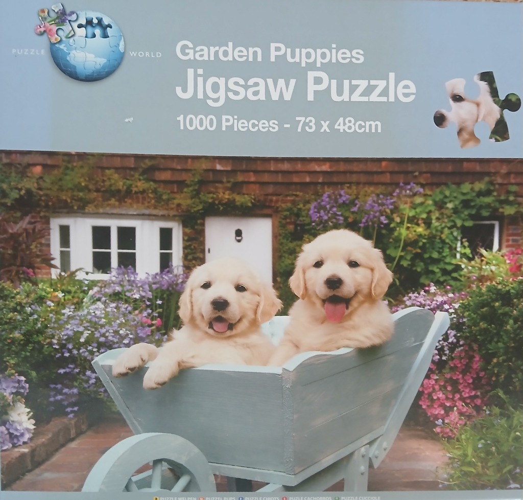 Two golden retriever puppies sitting in a light blue wooden wheelbarrow in a garden.