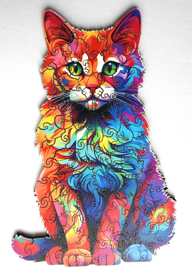 Vibrant, multi-coloured illustration of a long-haired cat with green eyes.