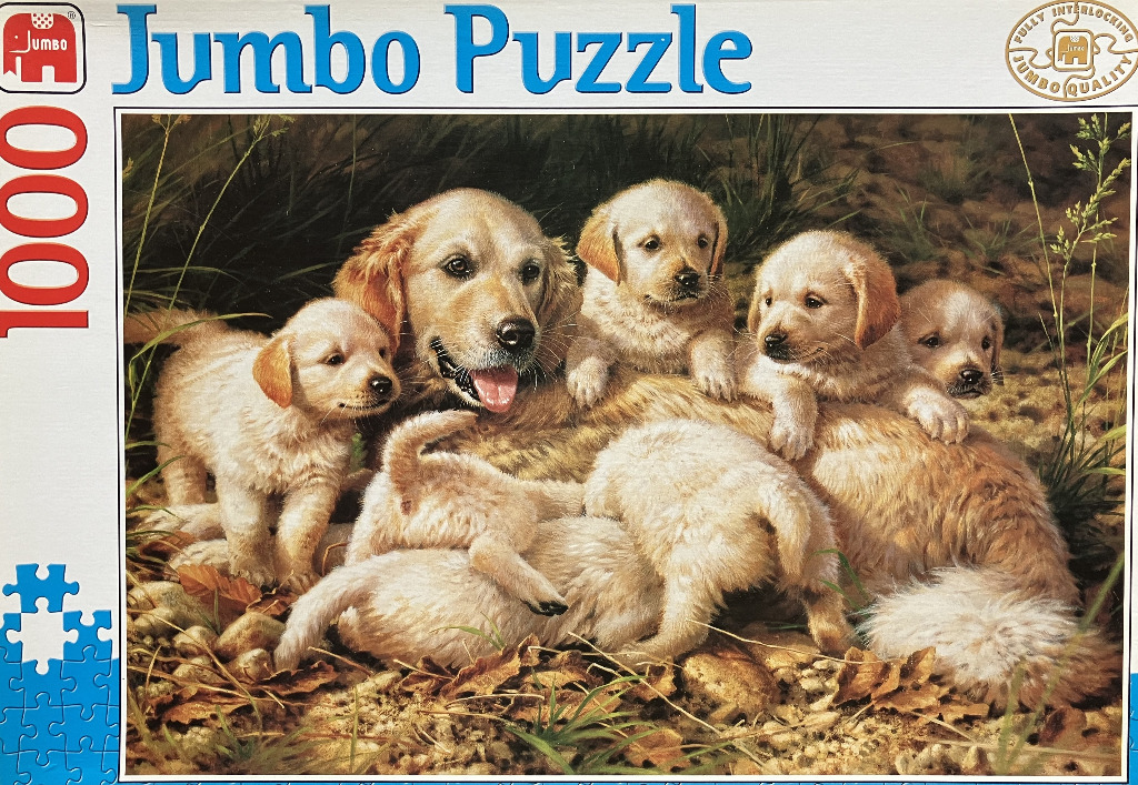 A golden retriever mother lying on the ground with her five golden retriever puppies in a natural setting.