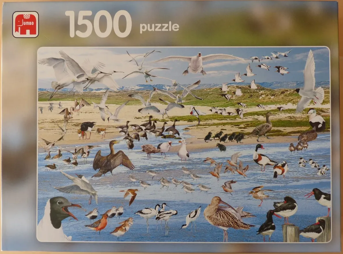 A diverse collection of coastal birds, including gulls, waders, and waterfowl, gathering on a sandy beach and shallow water.