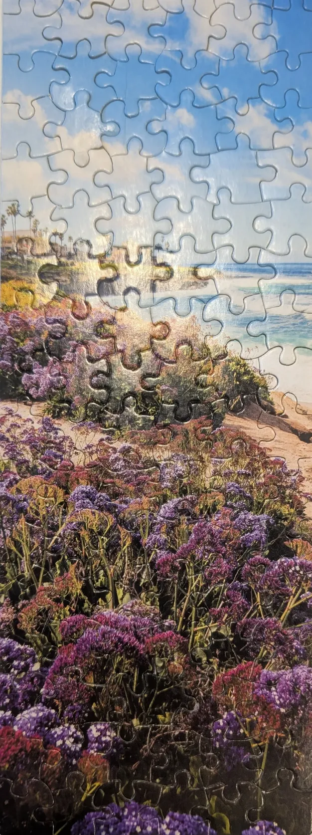 A lush coastal path lined with blooming purple flowers overlooking a beach and ocean under a bright, sunny sky.
