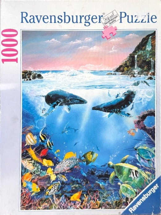 A split-view illustration of two humpback whales swimming beneath a tropical coastline and a vibrant coral reef.