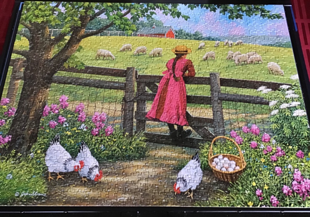 A young girl in a pink dress leans on a wooden fence to watch a flock of sheep in a meadow with chickens nearby.