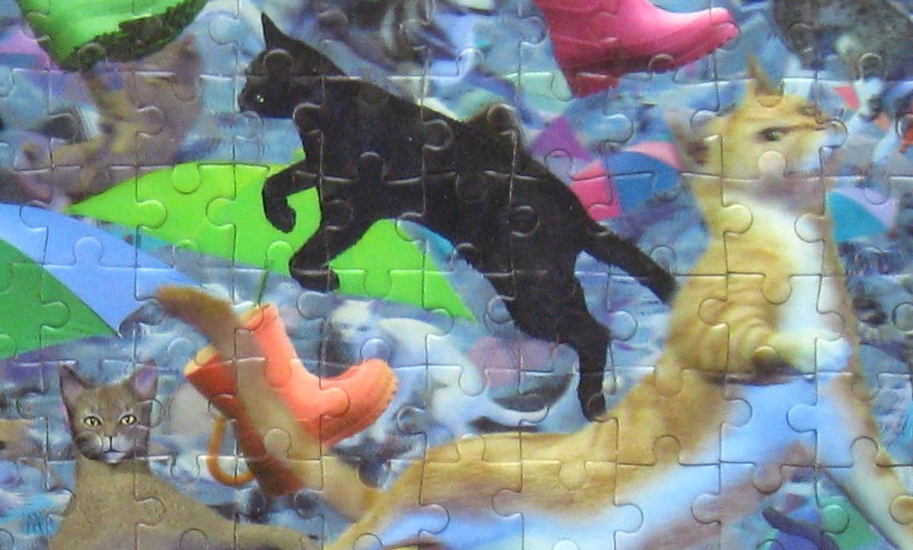 Raining Cats and Dogs