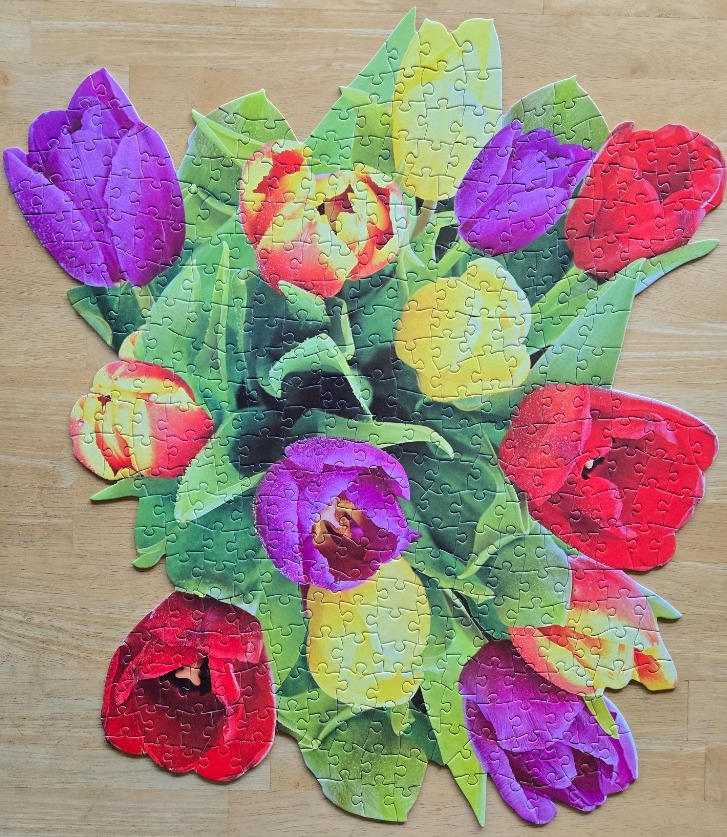 A vibrant cluster of colorful tulips in red, yellow, and purple against a light wood background.