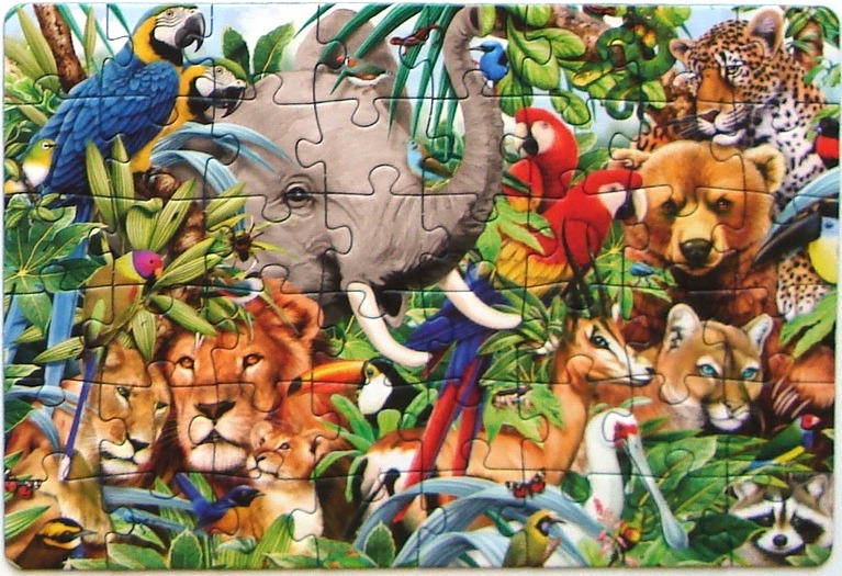 A lush, vibrant jungle illustration packed with diverse animals including an elephant, lion, leopard, and various birds.