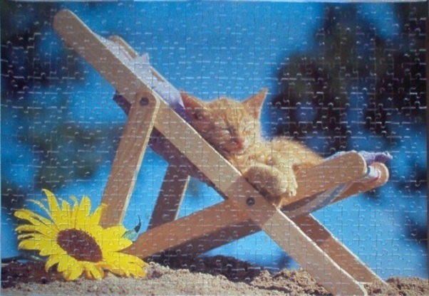 A ginger kitten sleeping on a wooden beach chair in the sand next to a bright yellow sunflower.