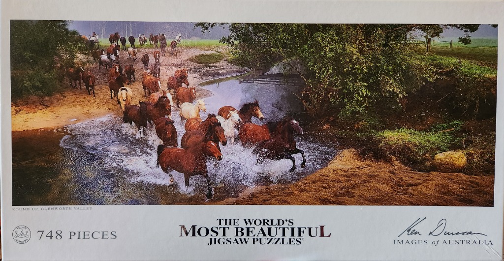A herd of horses charging through a shallow creek in a rural landscape.