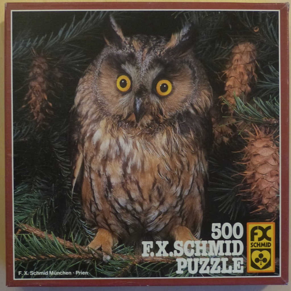 A close-up photograph of a long-eared owl perched on a pine branch against a dark, coniferous background.