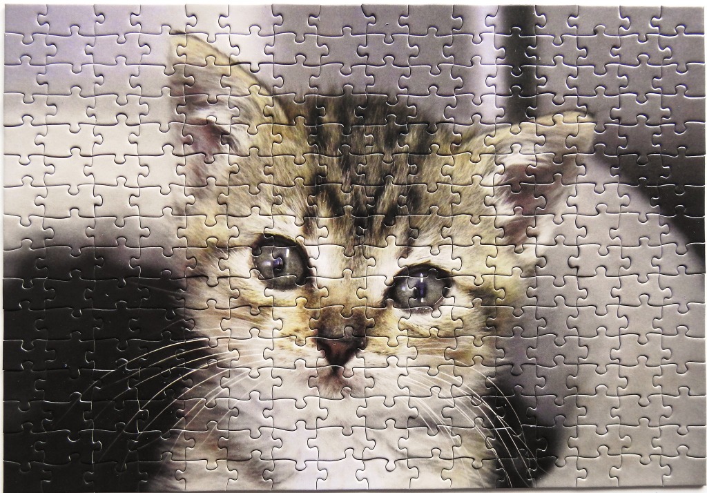 A close-up photographic portrait of a tabby kitten with large, expressive eyes looking directly at the viewer.