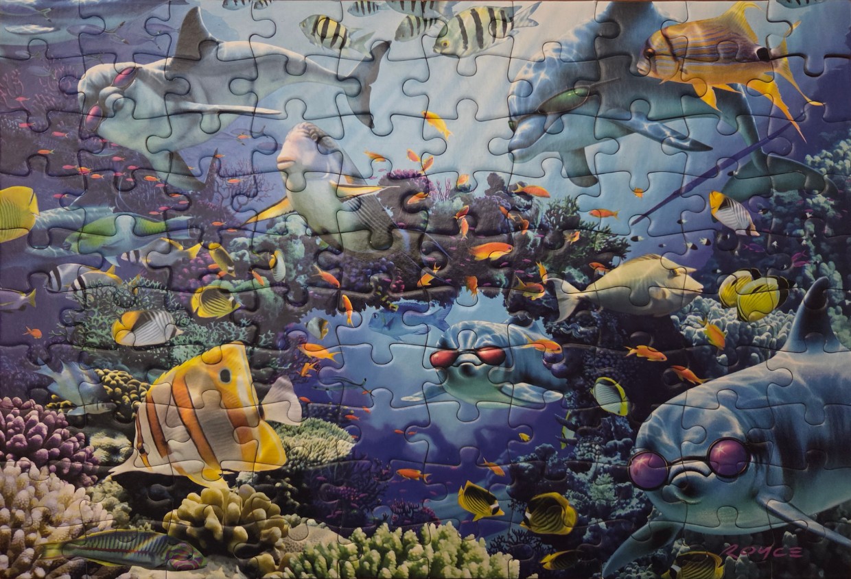 Vibrant coral reef scene with cartoon-style dolphins wearing sunglasses and various tropical fish.