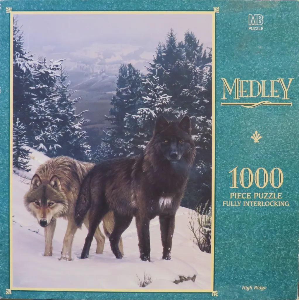 Two wolves, one black and one brown-grey, standing in a snowy forest landscape.