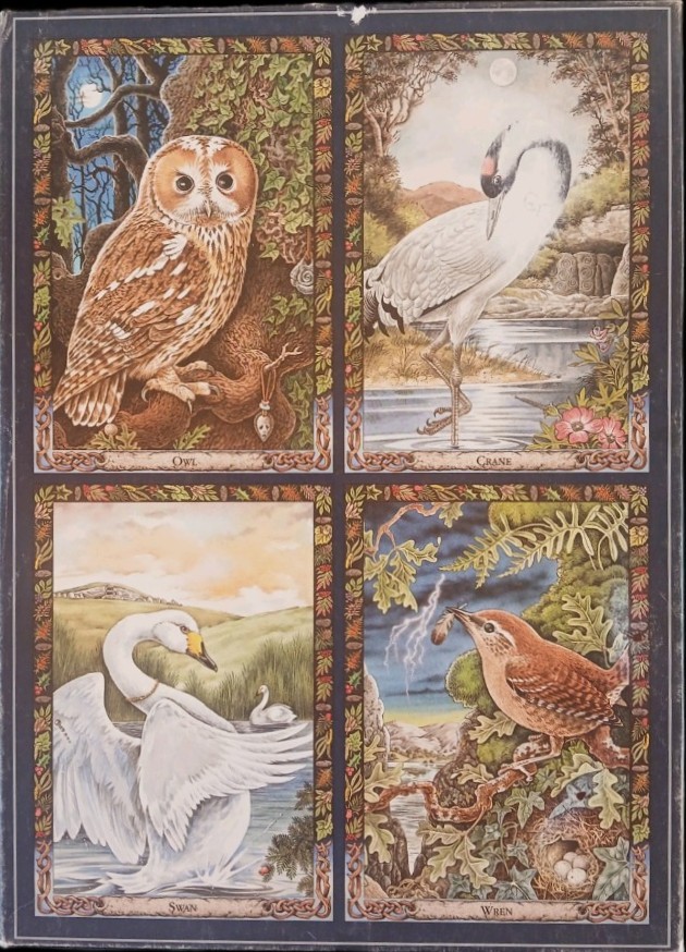 Illustration featuring four panels of woodland and wetland birds: an owl, a crane, a swan, and a wren.