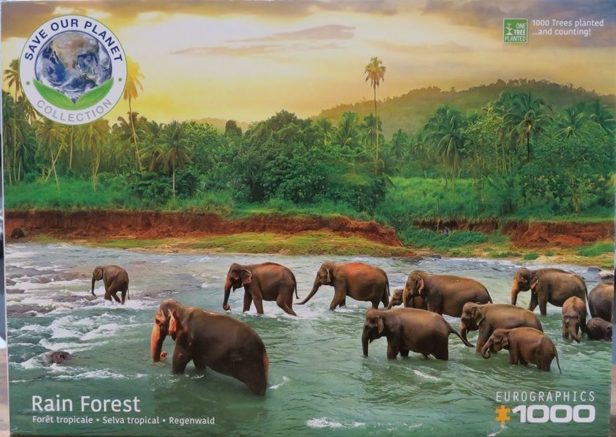 A herd of Asian elephants crossing a wide, rushing river in a lush tropical rainforest at sunset.