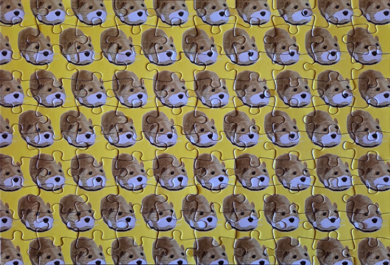 A repeating pattern of brown and white guinea pig faces on a solid bright yellow background.