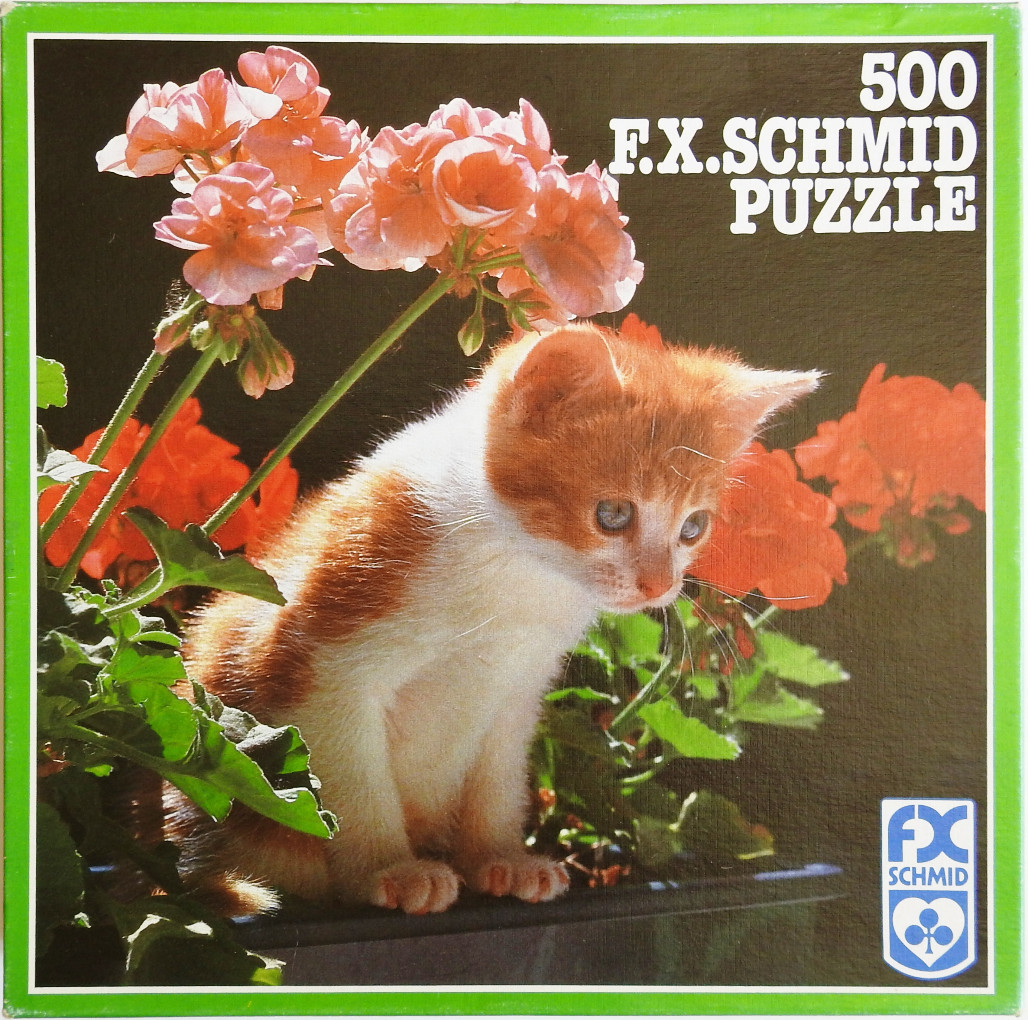 A small orange and white kitten sitting among pink and red geranium flowers against a dark background.