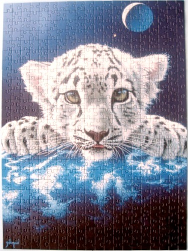 A close-up illustration of a snow leopard cub peering over a dark blue pool of water under a crescent moon.