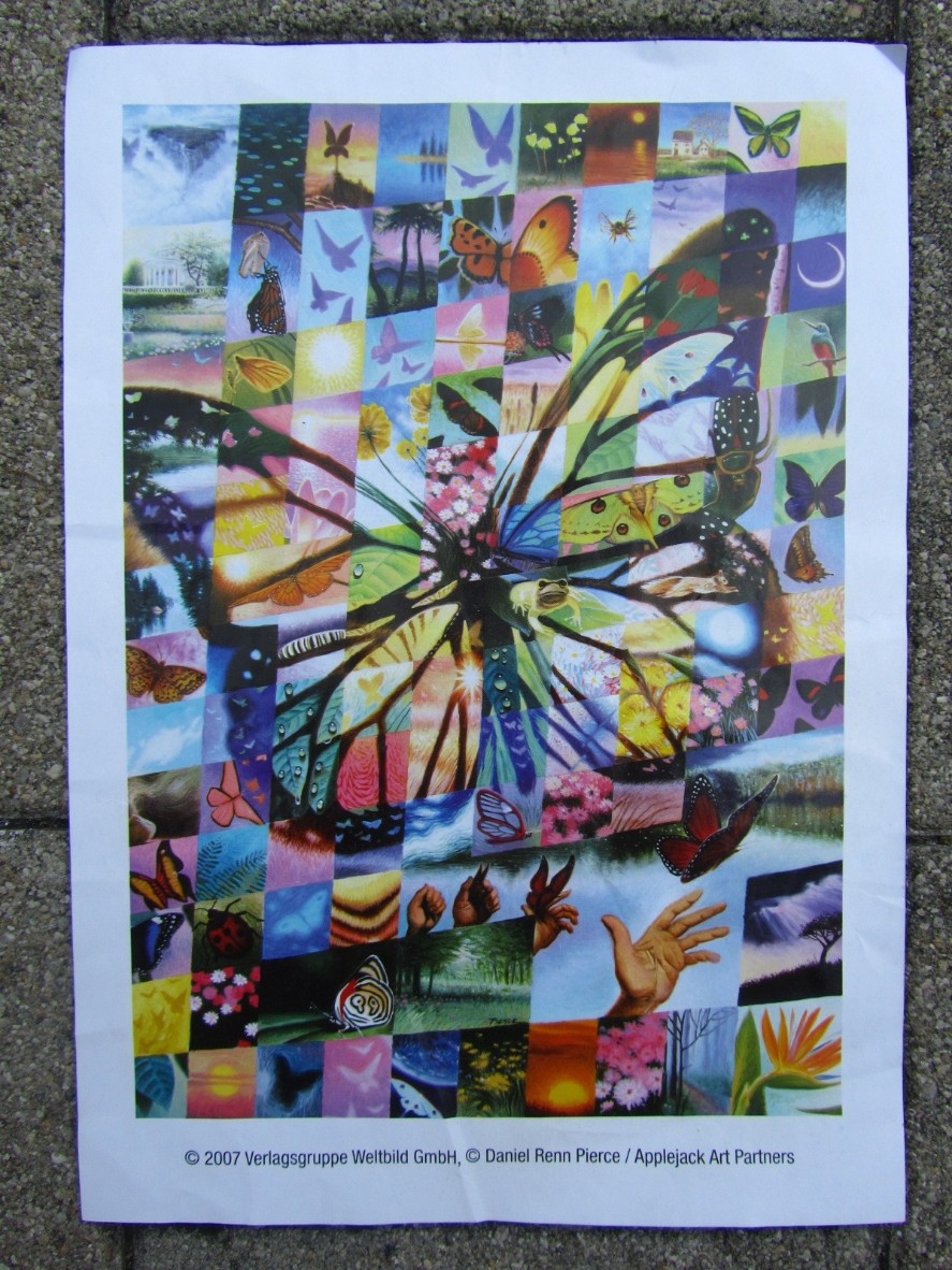 A mosaic of many small, varied nature scenes forming the silhouette of a large butterfly.